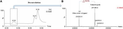 Characterization of light chain c-terminal extension sequence variant in one bispecific antibody